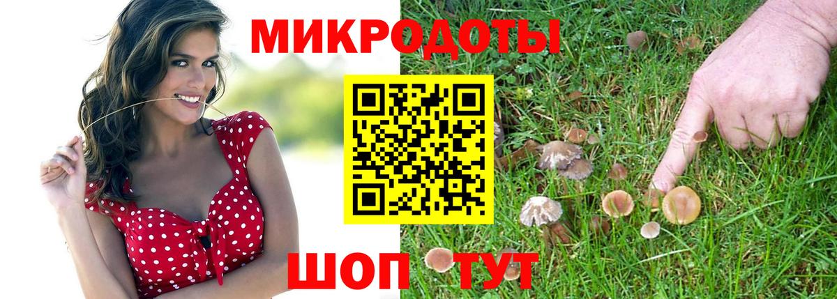 купить   Вход с VPN  Гулькевичи  Галлюциногенные грибы GOLDEN TEACHER 