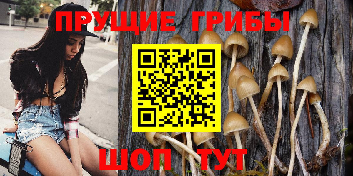 Галлюциногенные грибы мицелий Гулькевичи