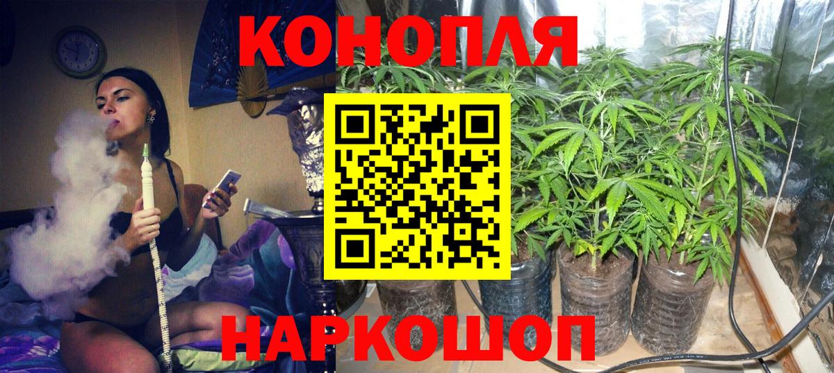 Бошки Шишки планчик  Вход с VPN  Гулькевичи  МАРИХУАНА LSD WEED  Бошки Шишки марихуана 